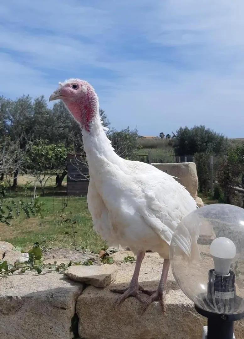 Casa vacanze Le Gebbie Italia