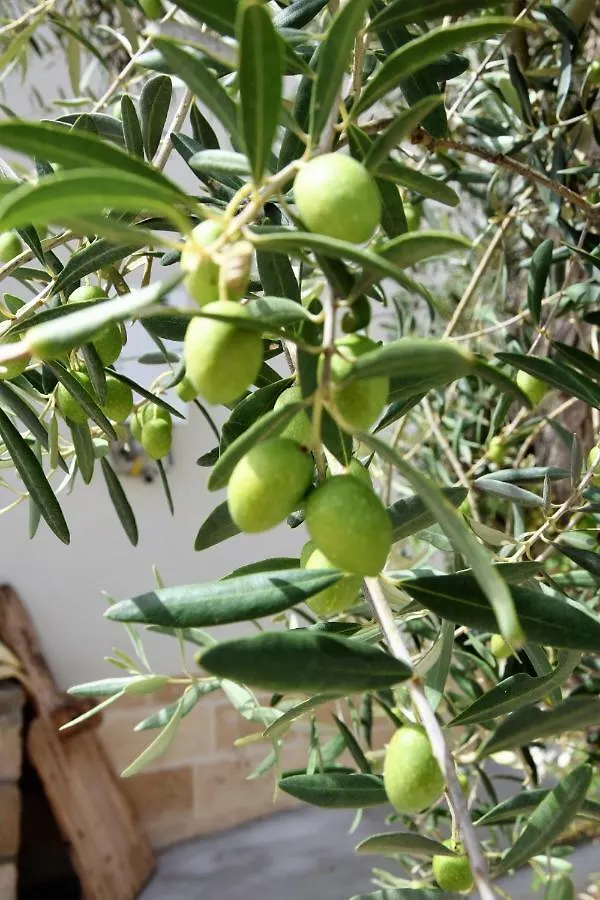 Casa Le Gebbie Βίλα Marzamemi 0*,  Ιταλία