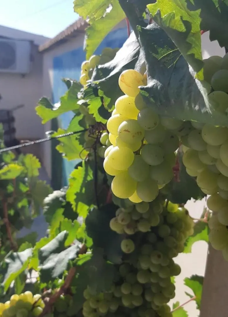 Casa Le Gebbie Villa Marzamemi Holiday home