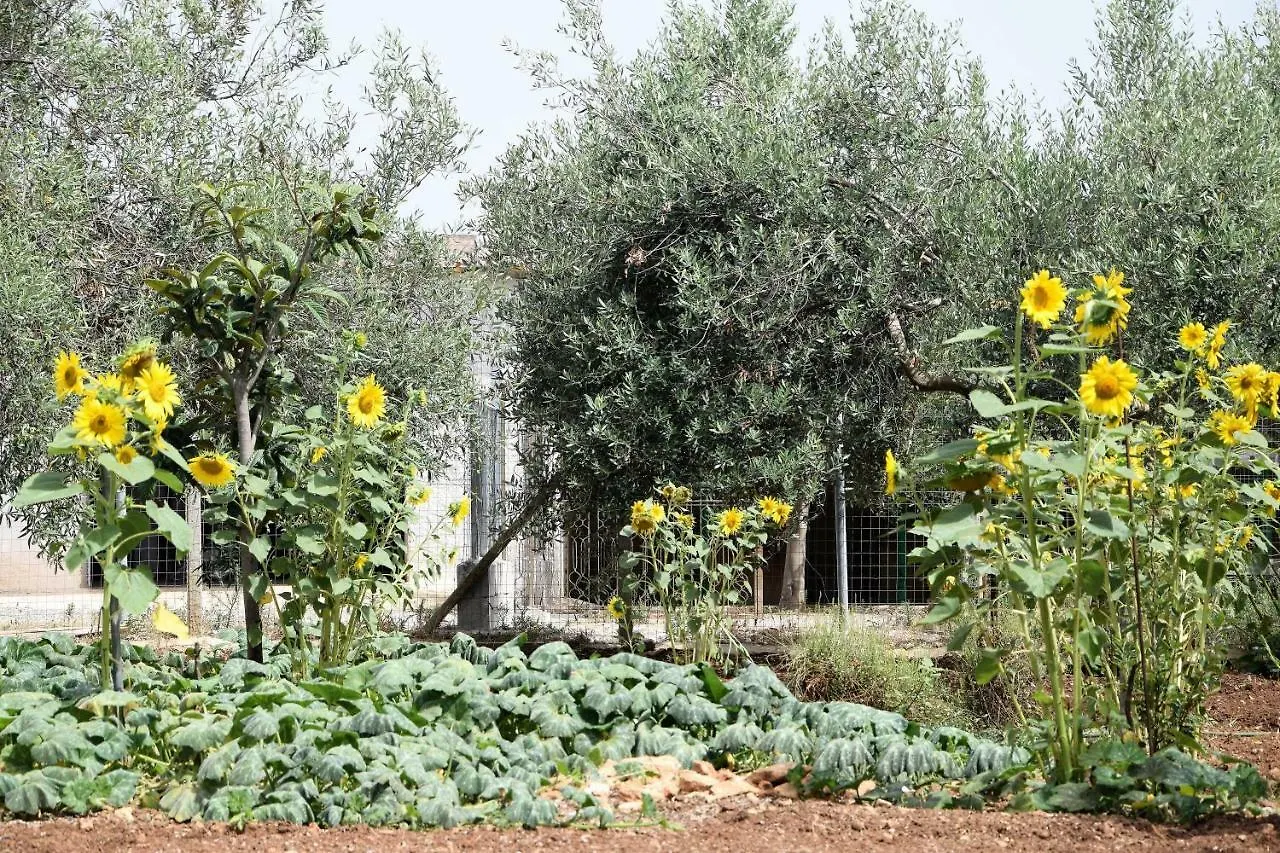Casa Le Gebbie Villa Marzamemi Italy